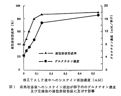 図1 成熟培養液へのシステイン添加が卵子内のグルタチオン濃度および受精後の雄性前核形成に及ぼす影響