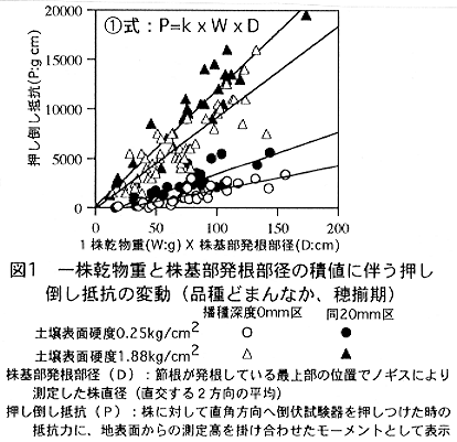 図1 一株乾物重と株基部発根部径の積値に伴う押し倒し抵抗の変動