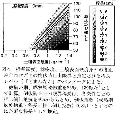 図4 播種深度、株密度、土壌表面硬度条件の各組合せごとの倒伏防止上限界と推定される稈長レベル