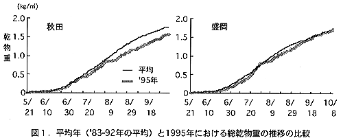 図1 平均年と1995年における総乾物重の推移の比較