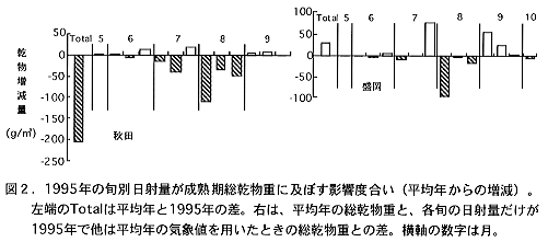 図2 1995年の旬別日射量が成熟期総乾物重に及ぼす影響度合い