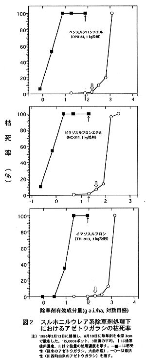 図2 スルホニルウレア系除草剤処理下におけるアゼトウガラシの枯死率
