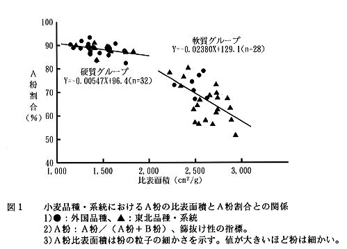 図1 小麦品種・系統におけるA粉の比表面積とA粉割合との関係