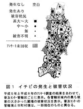 図1 イチビの発生と被害状況