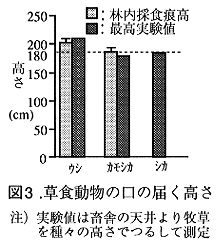図3 草食動物の口の届く高さ