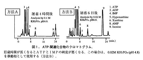 図1 ATP-関連化合物のクロマトグラム