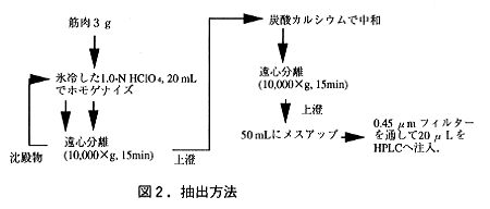 図2 抽出方法