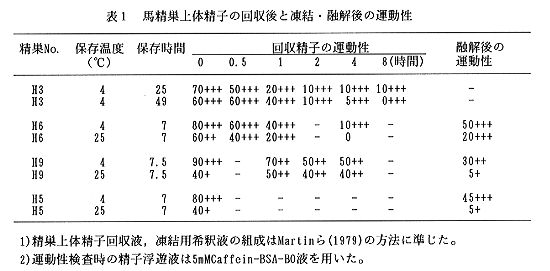 表1 馬精巣上体精子の回収後と凍結・融解後の運動性