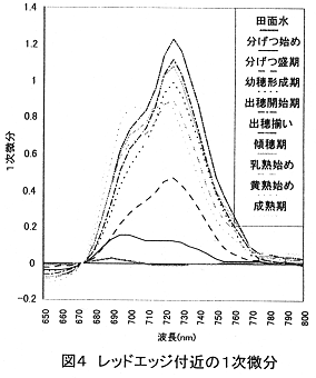 図4.レッドエッジ付近の1次微分