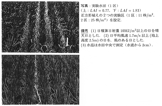 写真.