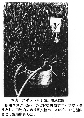 写真.スポット冷水深水潅漑装置