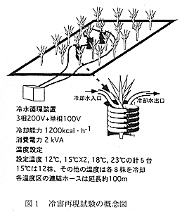図1.冷害再現試験の概念図