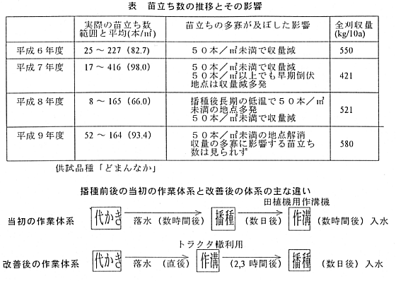 表 苗立ち数の推移とその影響