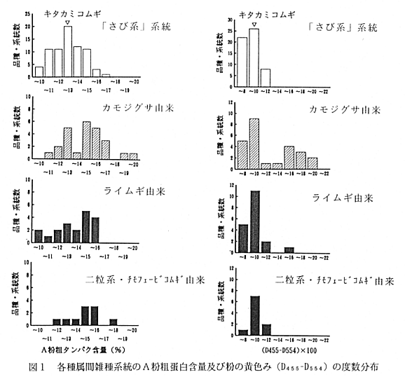 図1.各種属間雑種系統のA粉粗蛋白含量および粉の黄色み(D455-D554)の度数分布