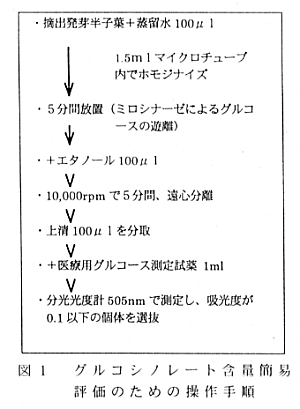 図1.グルコシノレート含量簡易評価のための操作手順