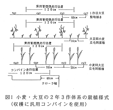 図1.小麦・大豆の2年3作体系の栽植様式