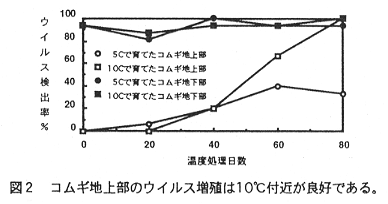 図2.コムギ地上部のウイルス増殖は10°C付近が良好である。