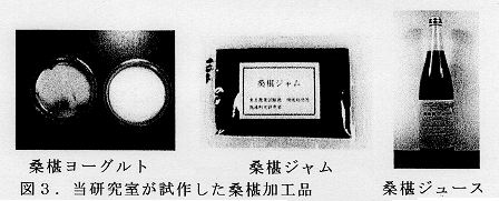 図3.当研究室が試作した桑椹加工品