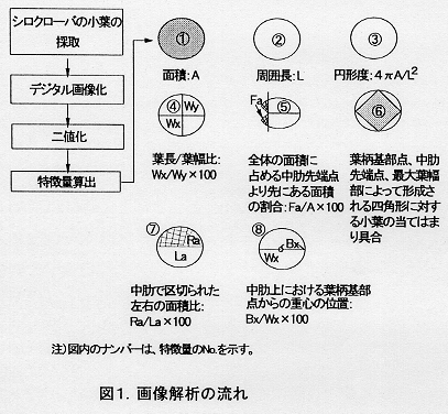 図1.