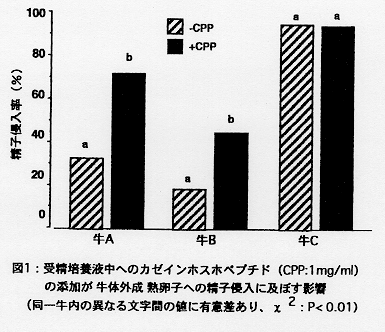 図1.受精培養液中へのカゼインホスホペプチドの添加が牛体外成熟卵子への精子侵入に及ぼす影響