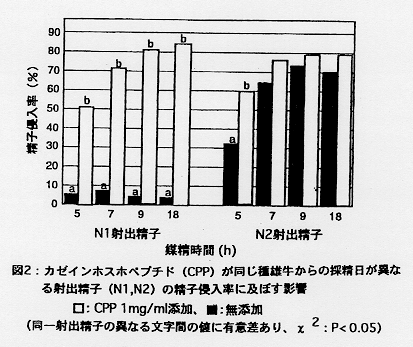 図2.カゼインホスホペプチド(CPP)が同じ種雄牛からの採精日が異なる射出精子(N1,N2)の精子侵入率に及ぼす影響