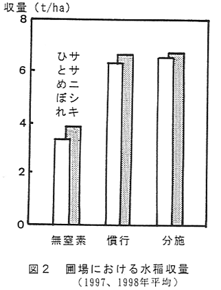 図2 圃場における水稲収量