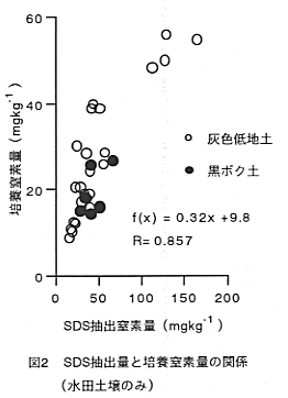 図2 SDS抽出量と培養窒素量の関係