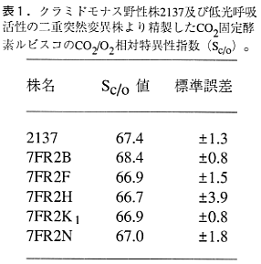 表1 クラミドモナス野生株2137及び抵抗呼吸活性の二重突然変異株より精製したCO2固定酵素ルビスコのCCO2/O2相対特異性指数