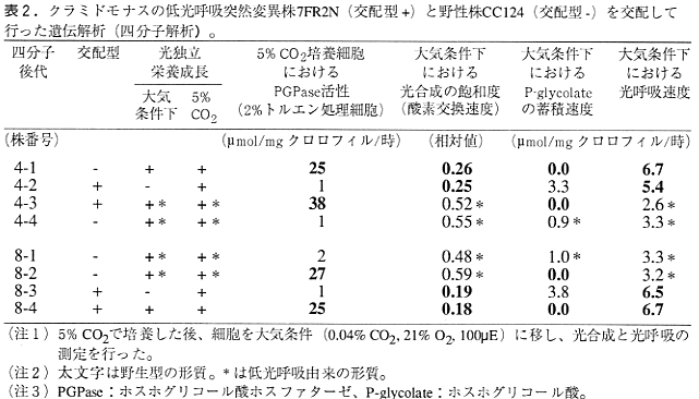 表2 クラミドモナスの低光呼吸突然変異株7FR2N(交配型+)と野生株CC124(交配型-)を交配して行った遺伝解析(四分子解析)