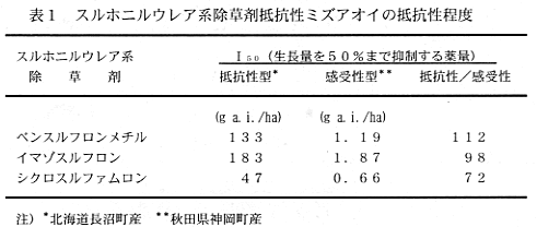 表1 スルホニルウレア系除草剤抵抗性ミズアオイの抵抗性程度