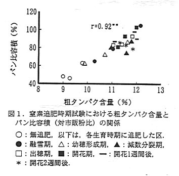 図1 窒素追肥時期試験における粗タンパク含量とパン比容積の関係