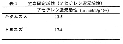 表1 窒素固定活性