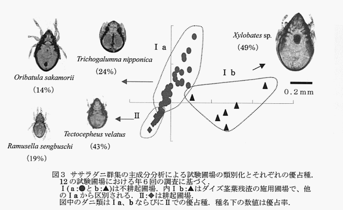 図3 ササラダニ群集の主成分分析による試験圃場の類別かとそれぞれの優占種。