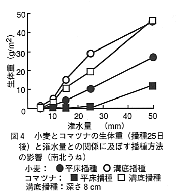 図4 小麦とコマツナの生体重と灌水量との関係に及ぼす播種方法の影響
