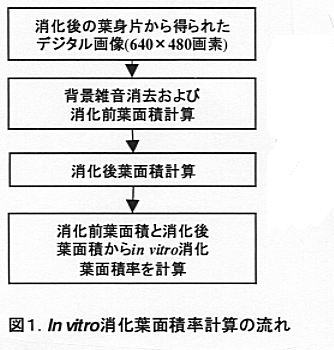 図1 In vitro消化葉面積率計算の流れ