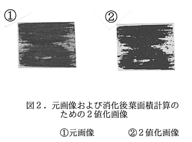 図2 元画像及び消化後葉面積計算のための2値化画像