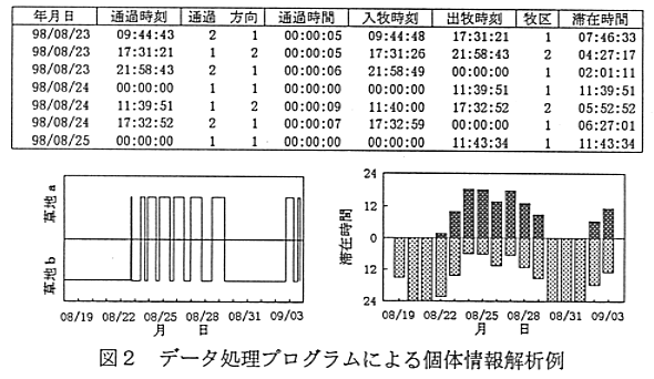 図2 データ処理プログラムによる個体情報解析例