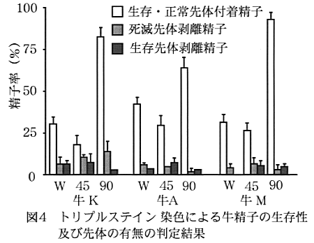 図4 トリプルステイン染色による牛精子の生存性及び先体の有無の判定結果