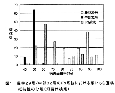 図1.農林29号/中部32号のF3系統における葉いもち圃場抵抗性の分離(畑苗代検定)