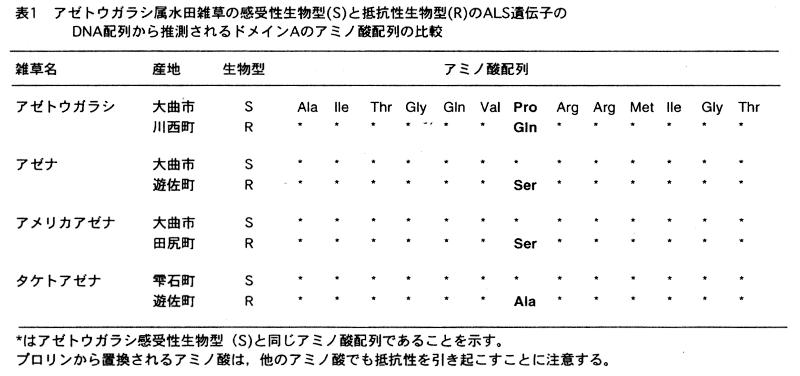 表1.アゼトウガラシ属水田雑草の感受性生物型(S)と抵抗性生物型(R)のALS遺伝子のDNA配列から推測されるドメインAのアミノ酸配列の比較