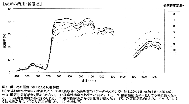 図1.葉いもち罹病イネの分光反射特性