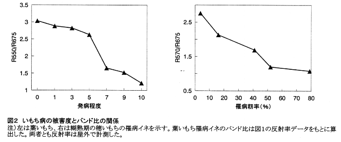 図2.いもち病の被害度とバンド比の関係