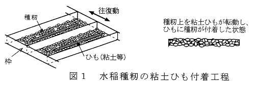 図1.水稲種籾の粘土ひも付着工程
