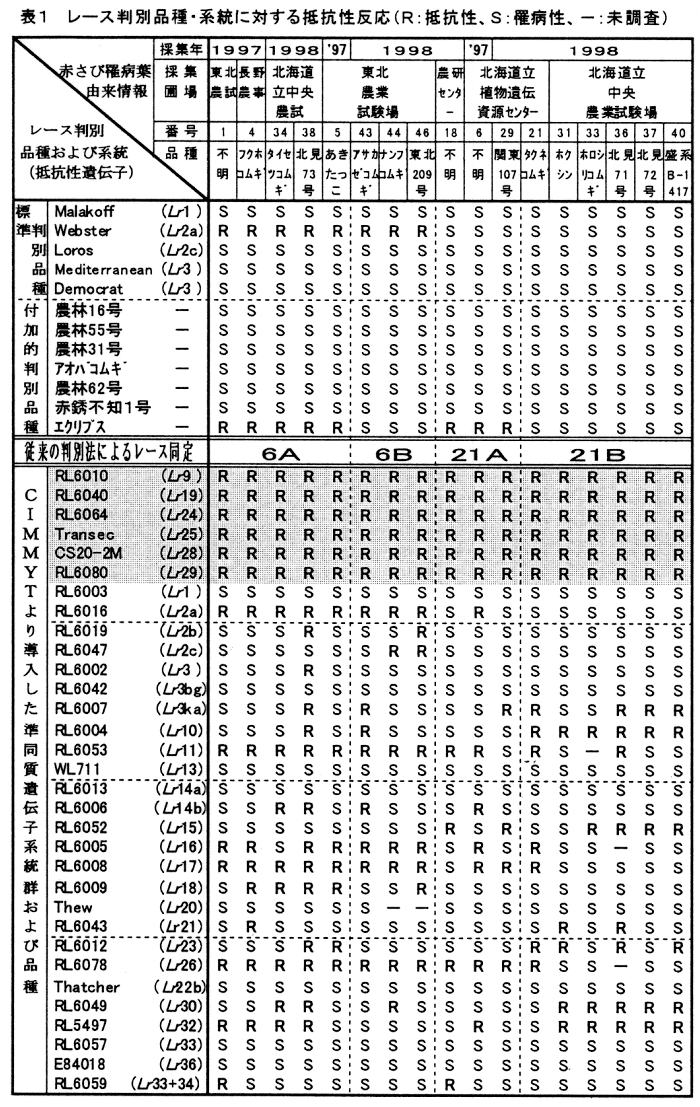 表1.レース判別品種・系統に対する抵抗性反応。