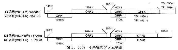 図1.