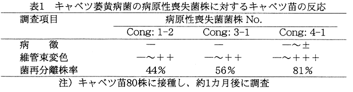 表1.キャベツ萎黄病菌の病原性喪失菌株に対するキャベツ苗の反応