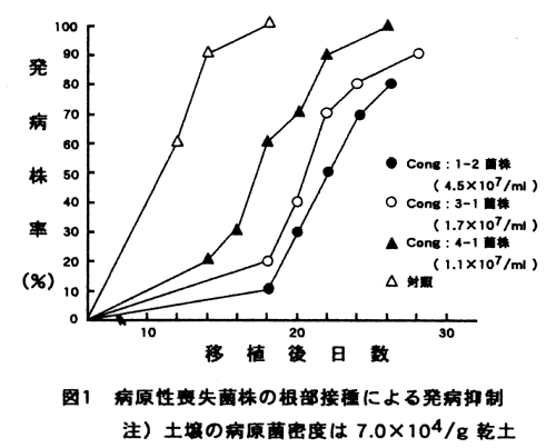 図1.病原性喪失菌株の根部接種による発病抑制