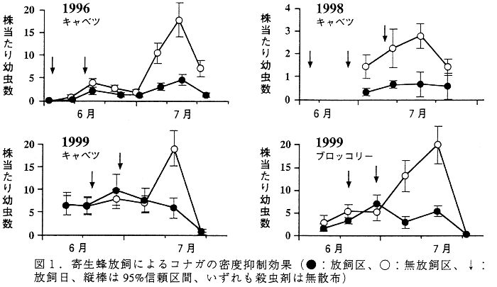 図1.寄生蜂放飼によるコナガの密度抑制効果