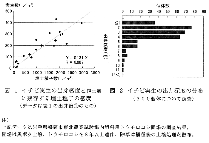 図1.イチビ実生の出芽密度と作土層に残存する埋土種子の密度、図2.イチビ実生の出芽深度の分布