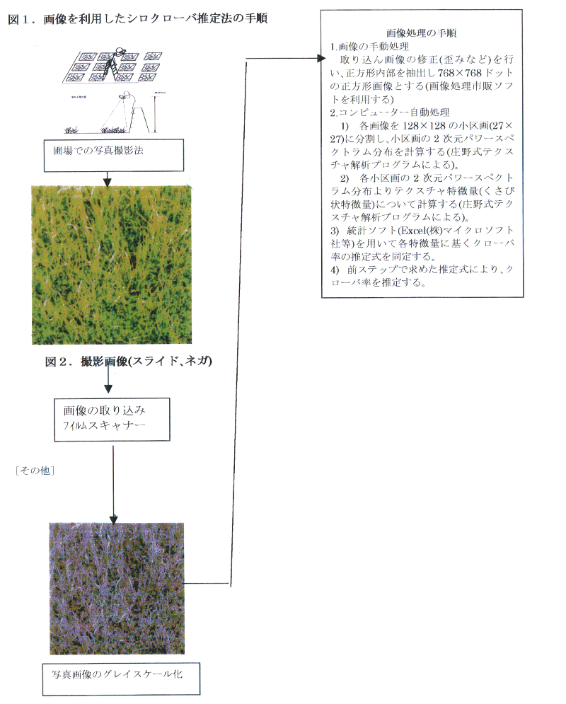 図1.画像を利用したシロクローバ推定法の手順